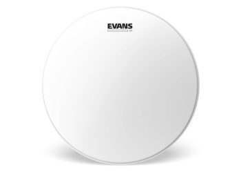 Evans BD22G1CW