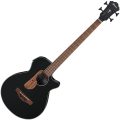 Ibanez AEGB24E-BKH