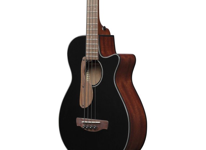 Ibanez AEGB24E-BKH