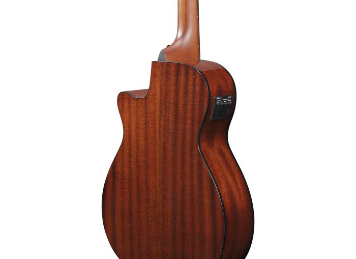Ibanez AEGB24E-BKH