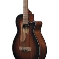 Ibanez AEGB24E-MHS