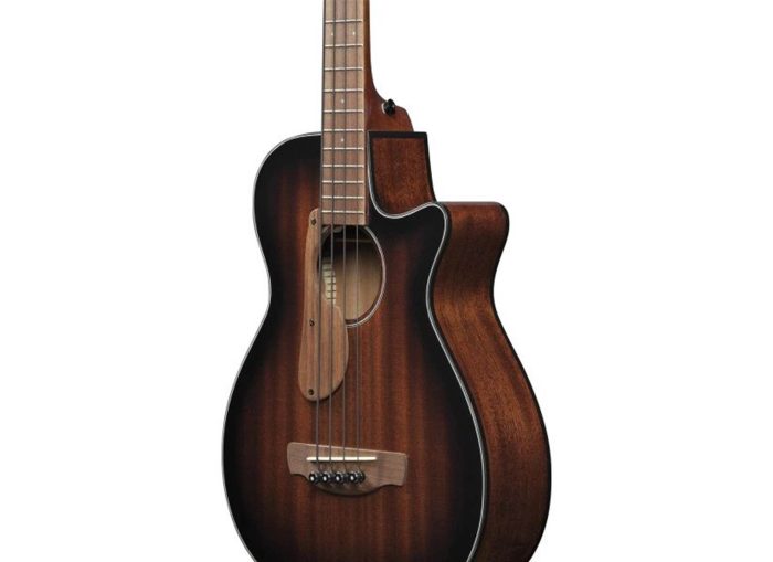 Ibanez AEGB24E-MHS