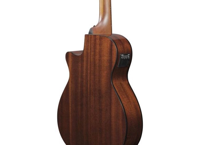 Ibanez AEGB24E-MHS