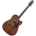 Ibanez AAD190CE-OPN