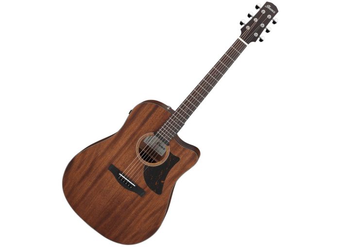 Ibanez AAD190CE-OPN