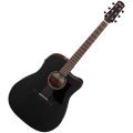 Ibanez AAD190CE-WKH