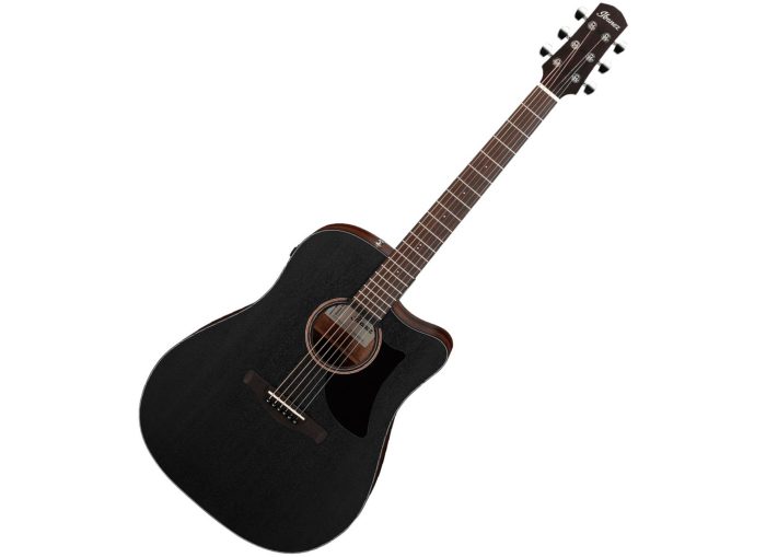 Ibanez AAD190CE-WKH
