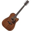 Ibanez AW1040CE-OPN
