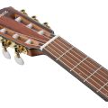 Ibanez FRH10N-BSF