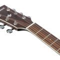 Ibanez AC340CE-OPN