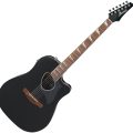 Ibanez ALT30