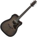 Ibanez AAD50CE-TCB