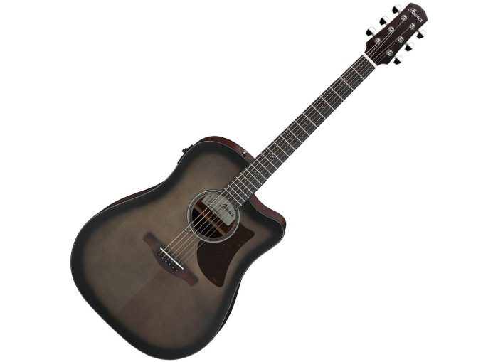 Ibanez AAD50CE-TCB