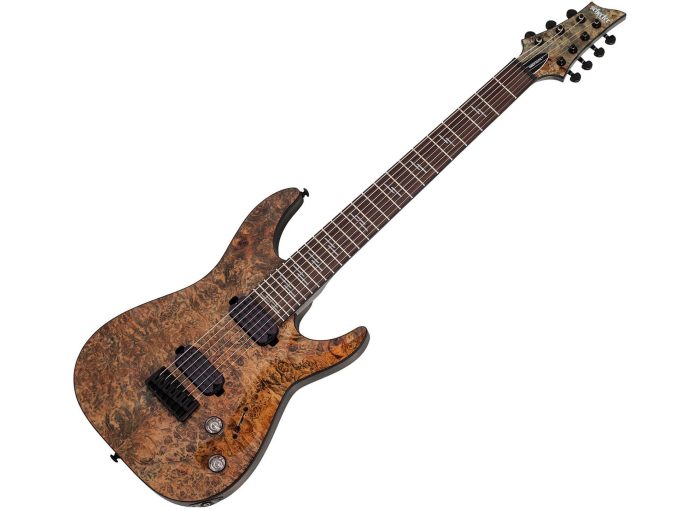 Schecter OMEN ELITE-7  CHAR