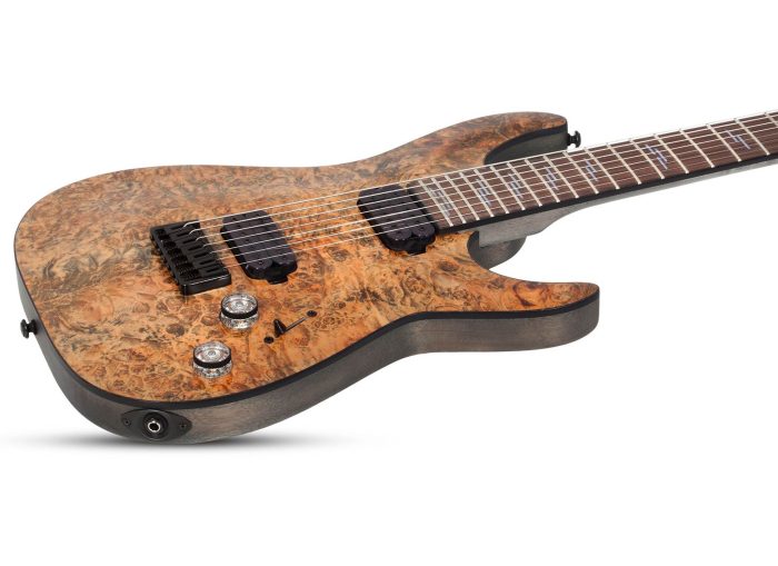 Schecter OMEN ELITE-7  CHAR