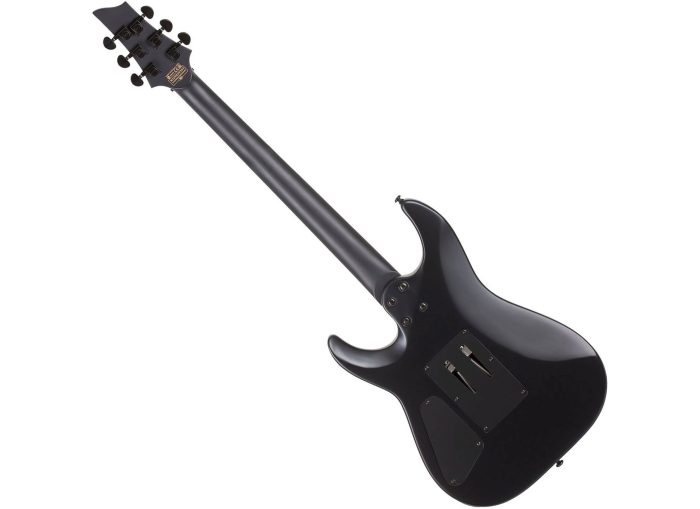Schecter DAMIEN-6 FR  SBK