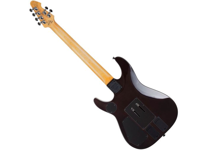 Schecter DJ ASHBA NATBB NATBB