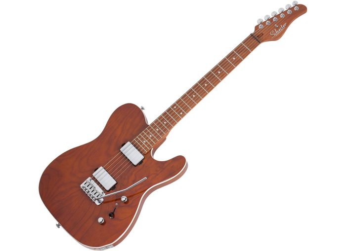 Schecter PT VAN NUYS Gloss Natural Ash