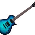 Ltd EC-200DX BLUE BURST