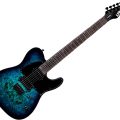 Ltd TE-200DX BLUE BURST