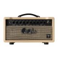 Prs DGT15 David Grissom 15 Watt Head