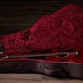 Taylor 224ce Special Edition Red