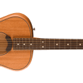 Fender Highway Series Parlor, Rosewood Fingerboard, Natural