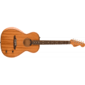 Fender Highway Series Parlor, Rosewood Fingerboard, All-Mahogany
