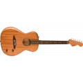Fender Highway Series Parlor, Rosewood Fingerboard, All-Mahogany