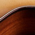 Taylor 512ce 12-Fret,Urban Ironbark/Torrefied Sitka