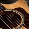Taylor 612ce 12-Fret