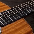 Taylor GS Mini-e Mahogany