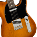 Fender American Performer Telecaster, Rosewood Fingerboard, Honey Burst
