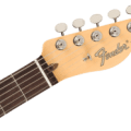 Fender American Performer Telecaster with Humbucking, Rosewood Fingerboard, Aubergine