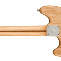 Fender Ben Gibbard Mustang