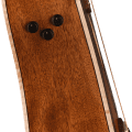 Fender Redondo Special, Pau Ferro Fingerboard, Black Pickguard, Honey Burst