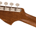 Fender Redondo Special, Pau Ferro Fingerboard, Black Pickguard, Honey Burst
