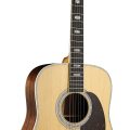 Martin D-41 (2025)