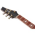 Ibanez IC420FM-VLS med gigbag, Iceman - B-stock