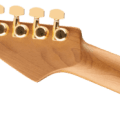 Charvel ProMod DK24 HH 2PT CM Poplar Burl Candy Apple Redamelized MN Transpare