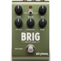 Strymon Brig dBucket Delay