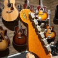 Fender B0 LTD DUAL-MAG II STRAT REL-A