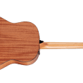Taylor 117e