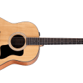 Taylor 117e