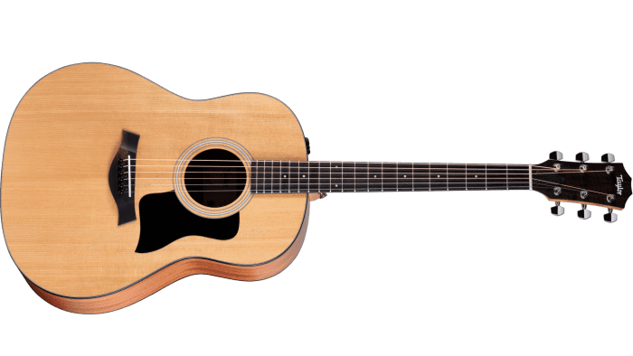 Taylor 117e