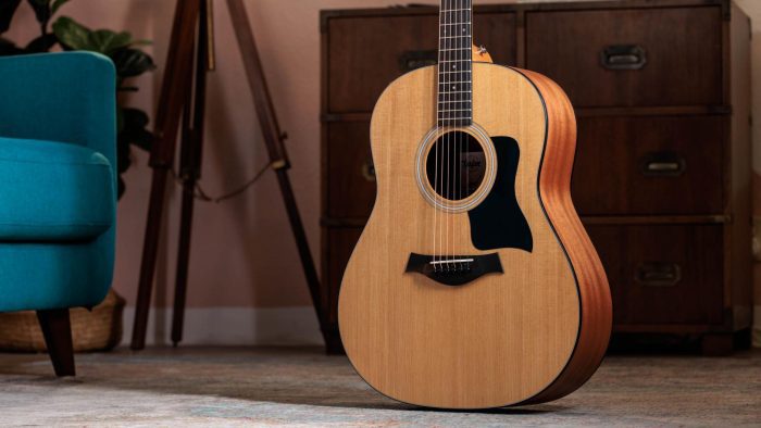 Taylor 117e