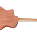 Taylor 14ce