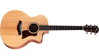 Taylor 14ce