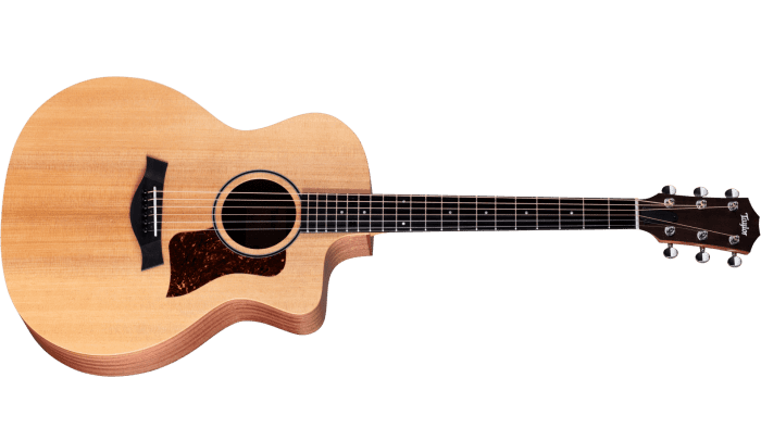 Taylor 14ce