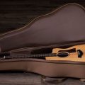 Taylor 14ce